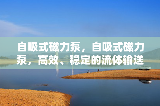 自吸式磁力泵，自吸式磁力泵，高效、稳定的流体输送解决方案