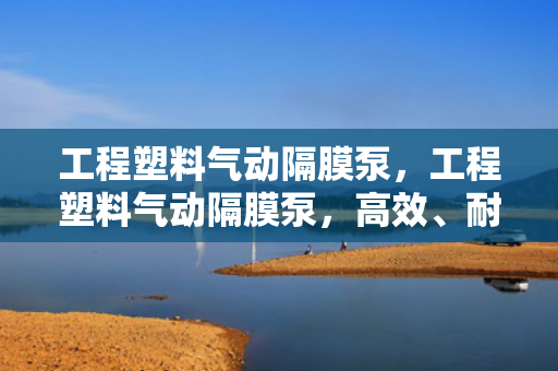 工程塑料气动隔膜泵，工程塑料气动隔膜泵，高效、耐用的流体输送解决方案