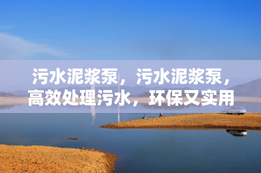 污水泥浆泵，污水泥浆泵，高效处理污水，环保又实用的设备选择