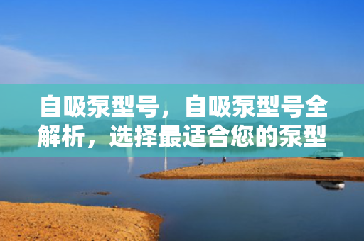 自吸泵型号，自吸泵型号全解析，选择最适合您的泵型