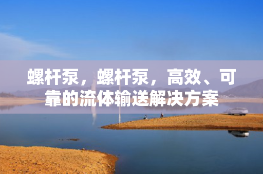 螺杆泵，螺杆泵，高效、可靠的流体输送解决方案