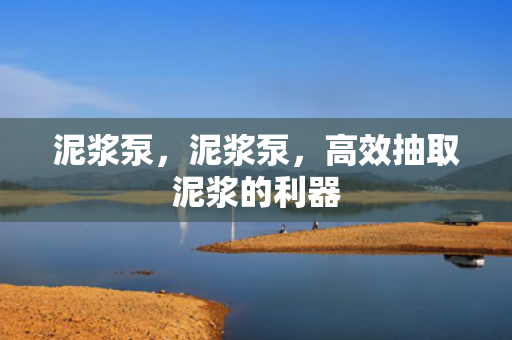 泥浆泵，泥浆泵，高效抽取泥浆的利器
