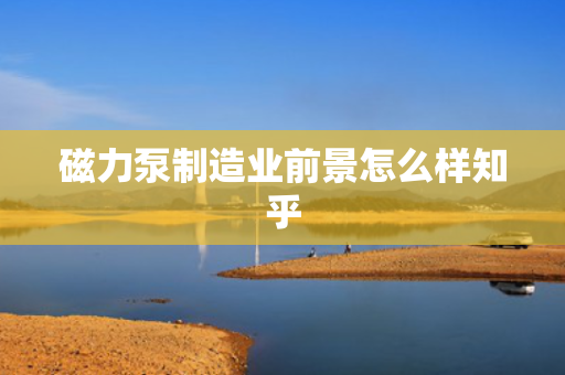 磁力泵制造业前景怎么样知乎