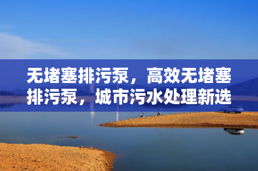 无堵塞排污泵，高效无堵塞排污泵，城市污水处理新选择