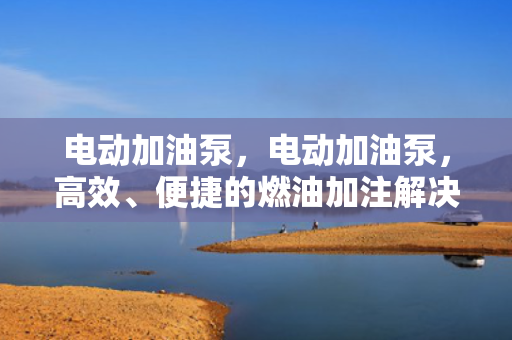 电动加油泵，电动加油泵，高效、便捷的燃油加注解决方案