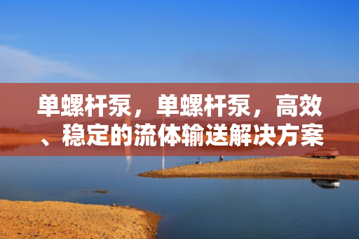 单螺杆泵，单螺杆泵，高效、稳定的流体输送解决方案