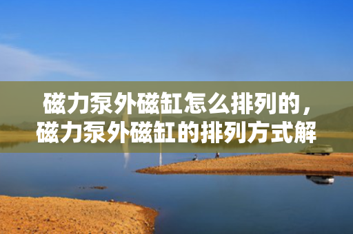 磁力泵外磁缸怎么排列的，磁力泵外磁缸的排列方式解析
