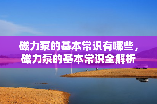 磁力泵的基本常识有哪些，磁力泵的基本常识全解析