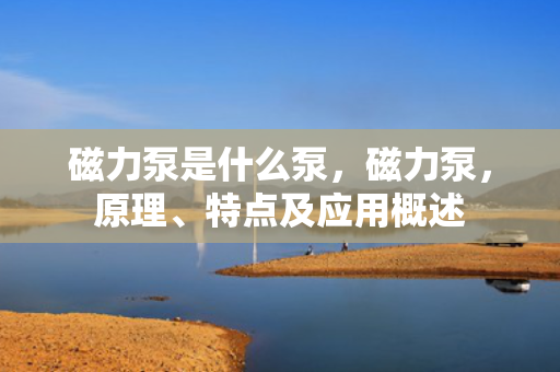 磁力泵是什么泵，磁力泵，原理、特点及应用概述