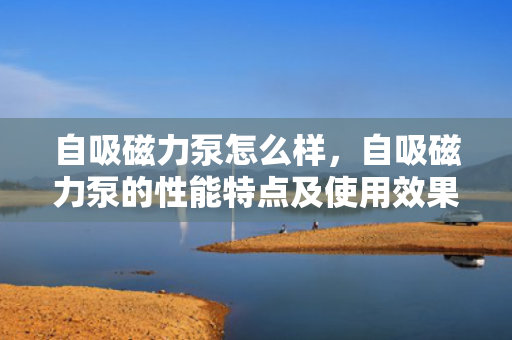 自吸磁力泵怎么样，自吸磁力泵的性能特点及使用效果评析