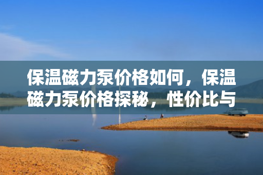 保温磁力泵价格如何，保温磁力泵价格探秘，性价比与市场行情分析