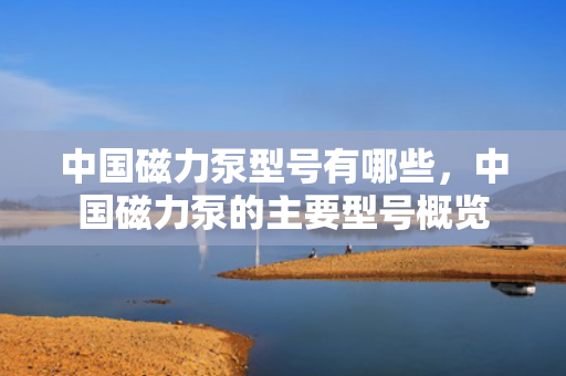 中国磁力泵型号有哪些，中国磁力泵的主要型号概览