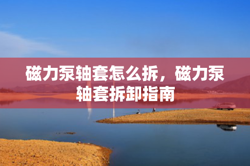 磁力泵轴套怎么拆，磁力泵轴套拆卸指南
