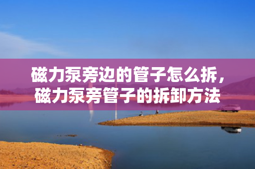 磁力泵旁边的管子怎么拆，磁力泵旁管子的拆卸方法