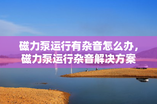 磁力泵运行有杂音怎么办，磁力泵运行杂音解决方案
