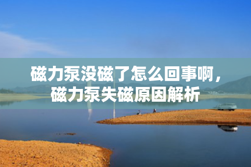 磁力泵没磁了怎么回事啊，磁力泵失磁原因解析
