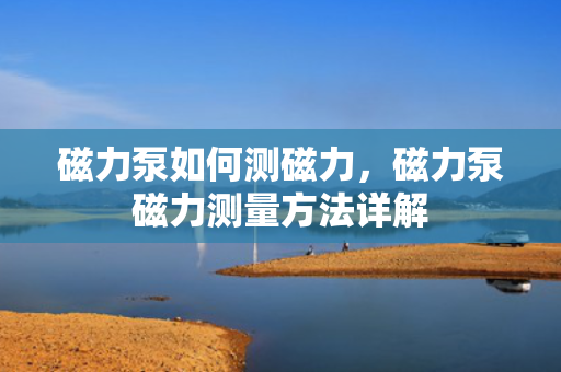 磁力泵如何测磁力，磁力泵磁力测量方法详解