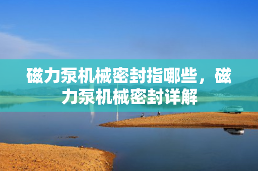 磁力泵机械密封指哪些，磁力泵机械密封详解