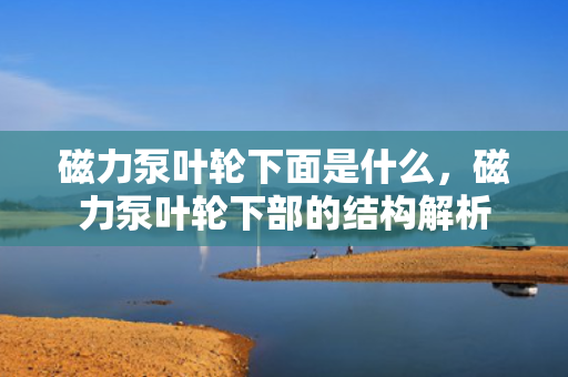 磁力泵叶轮下面是什么，磁力泵叶轮下部的结构解析