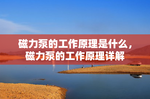 磁力泵的工作原理是什么，磁力泵的工作原理详解