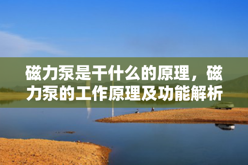 磁力泵是干什么的原理，磁力泵的工作原理及功能解析