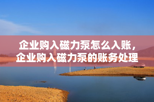 企业购入磁力泵怎么入账，企业购入磁力泵的账务处理及入账方法