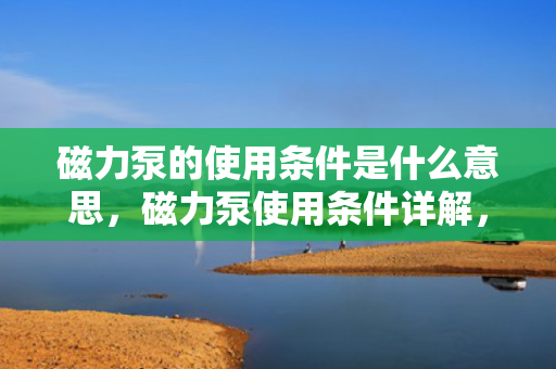 磁力泵的使用条件是什么意思，磁力泵使用条件详解，了解并满足这些要求，确保设备高效稳定运行