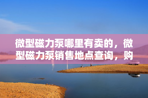 微型磁力泵哪里有卖的，微型磁力泵销售地点查询，购买指南与推荐
