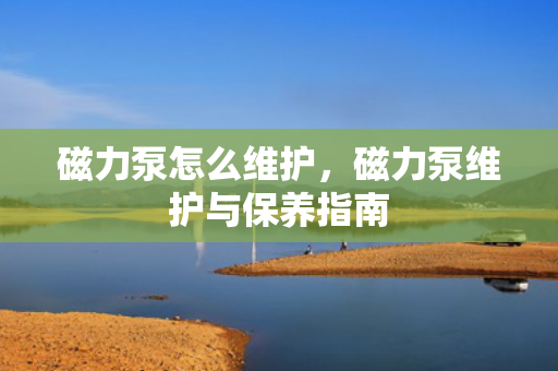 磁力泵怎么维护，磁力泵维护与保养指南