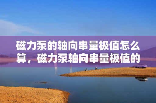 磁力泵的轴向串量极值怎么算，磁力泵轴向串量极值的计算方法