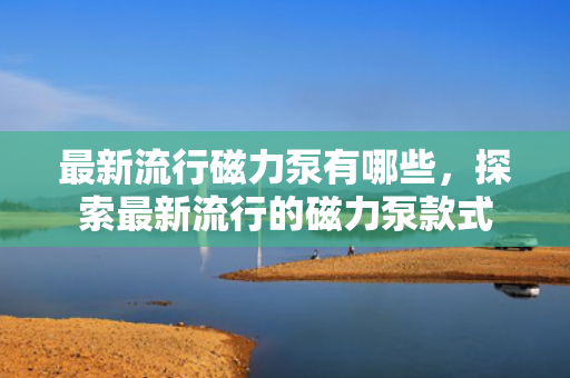 最新流行磁力泵有哪些，探索最新流行的磁力泵款式