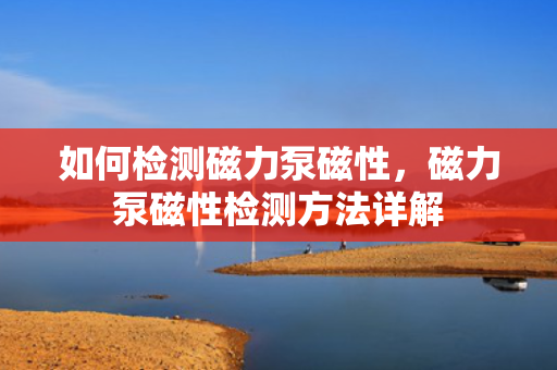 如何检测磁力泵磁性，磁力泵磁性检测方法详解
