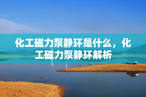 化工磁力泵静环是什么，化工磁力泵静环解析