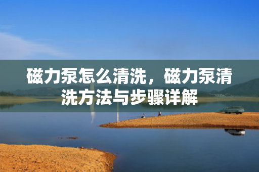 磁力泵怎么清洗，磁力泵清洗方法与步骤详解
