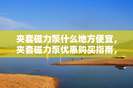 夹套磁力泵什么地方便宜，夹套磁力泵优惠购买指南，寻找性价比高的购买地点