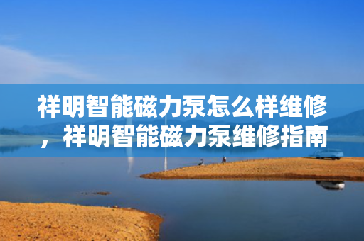 祥明智能磁力泵怎么样维修，祥明智能磁力泵维修指南