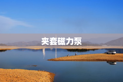 夹套磁力泵