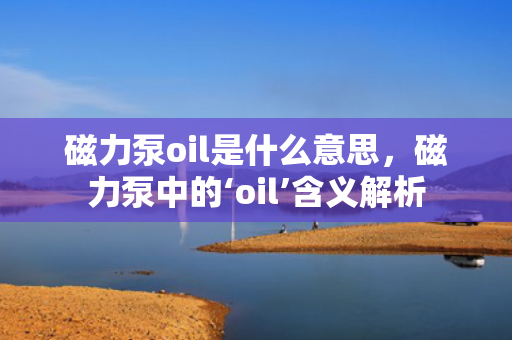 磁力泵oil是什么意思，磁力泵中的‘oil’含义解析