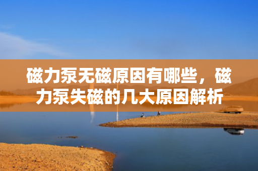 磁力泵无磁原因有哪些，磁力泵失磁的几大原因解析