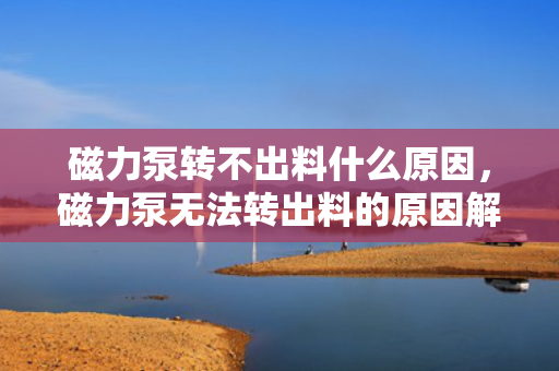 磁力泵转不出料什么原因，磁力泵无法转出料的原因解析