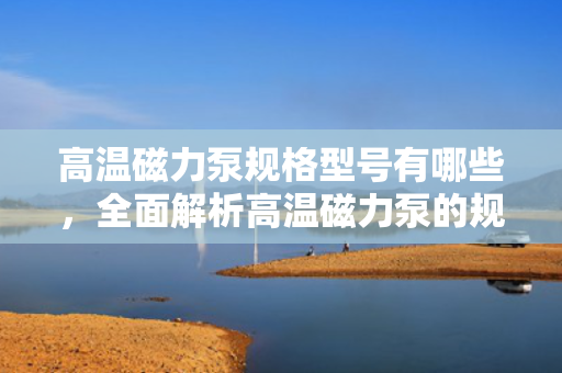 高温磁力泵规格型号有哪些，全面解析高温磁力泵的规格型号