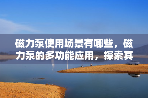 磁力泵使用场景有哪些，磁力泵的多功能应用，探索其广泛的使用场景