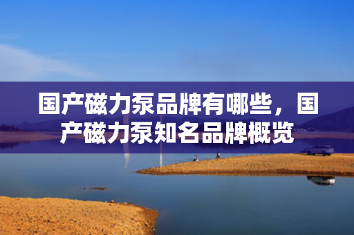 国产磁力泵品牌有哪些，国产磁力泵知名品牌概览