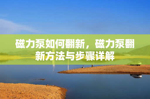磁力泵如何翻新，磁力泵翻新方法与步骤详解