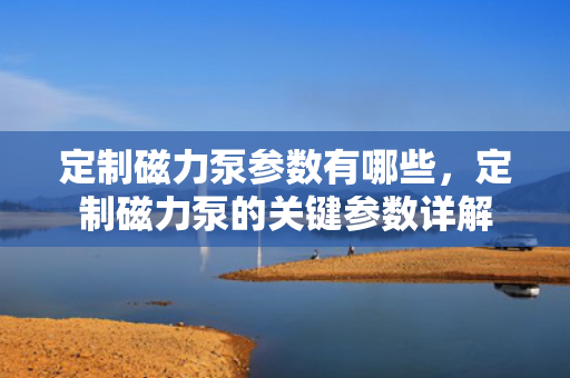 定制磁力泵参数有哪些，定制磁力泵的关键参数详解