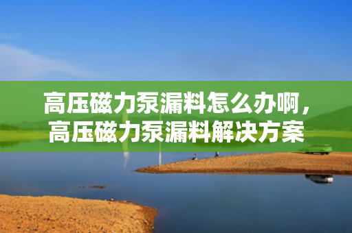 高压磁力泵漏料怎么办啊，高压磁力泵漏料解决方案