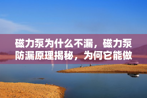 磁力泵为什么不漏，磁力泵防漏原理揭秘，为何它能做到滴水不漏？
