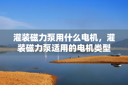 灌装磁力泵用什么电机，灌装磁力泵适用的电机类型