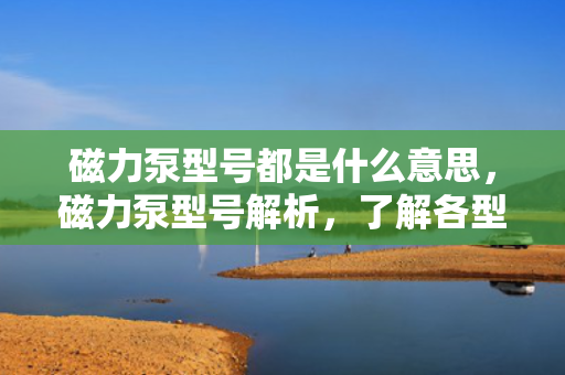 磁力泵型号都是什么意思，磁力泵型号解析，了解各型号代表的含义