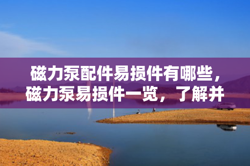 磁力泵配件易损件有哪些，磁力泵易损件一览，了解并维护您的磁力泵配件